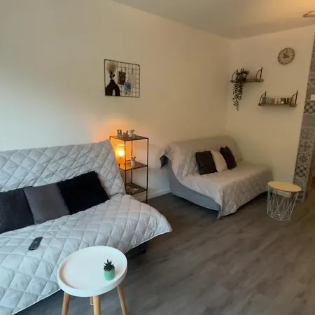 Le Balcon Pied Des Pistes